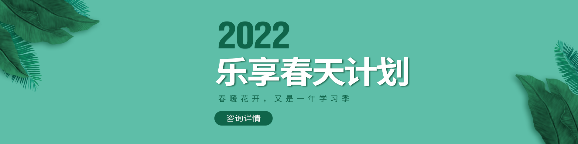 又黄又粉的小视频